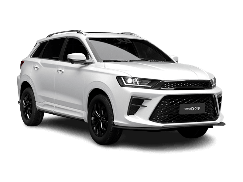 SWM G01F - в Trade-in